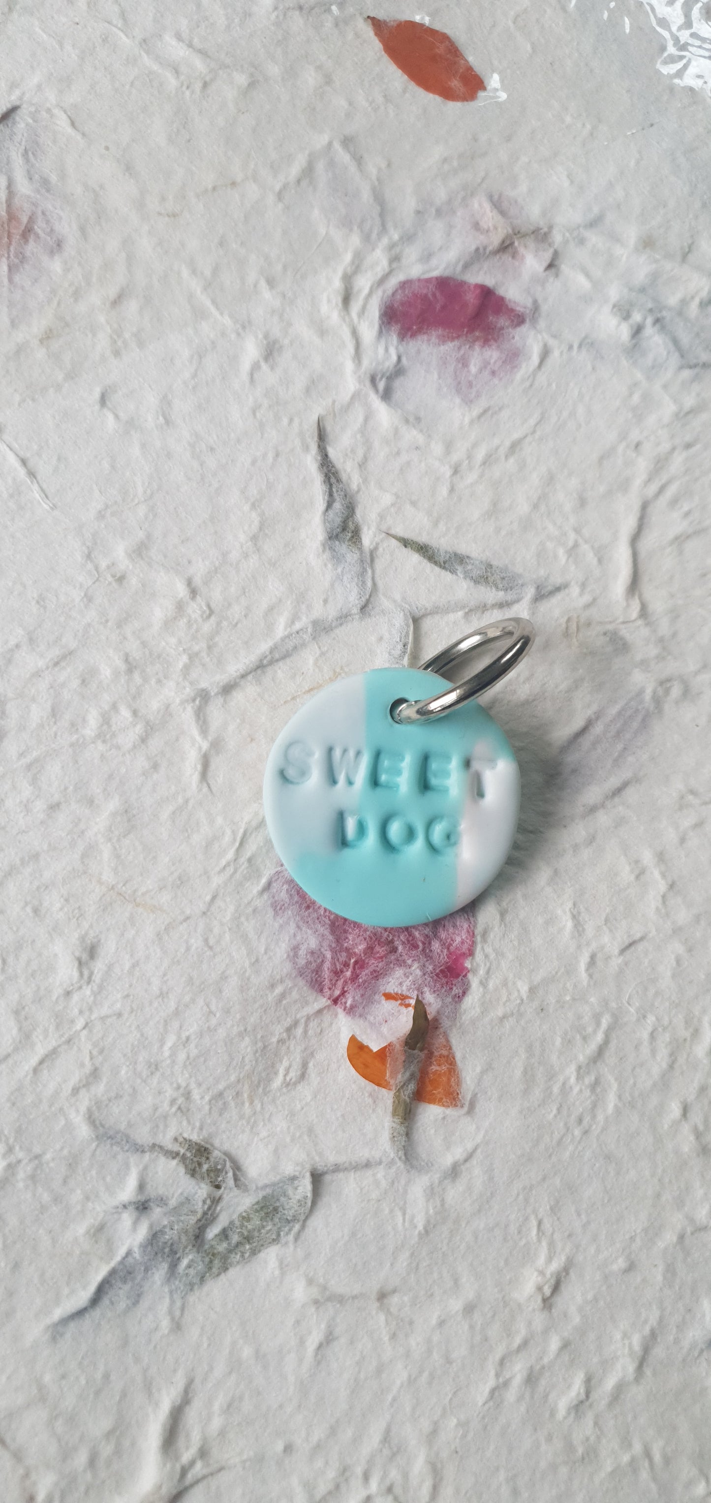 Médaille turquoise pour chien