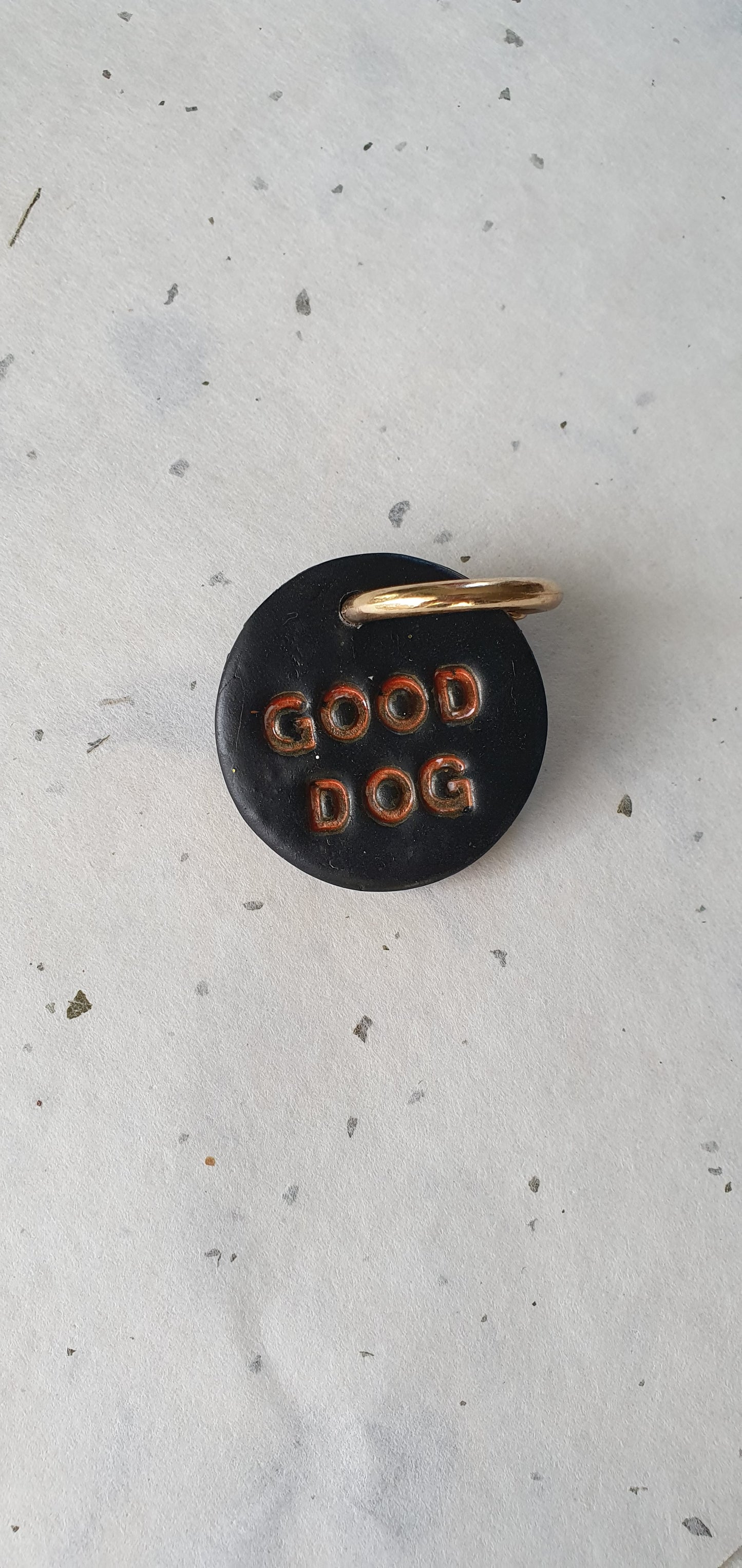 Médaille pour chien texte orange