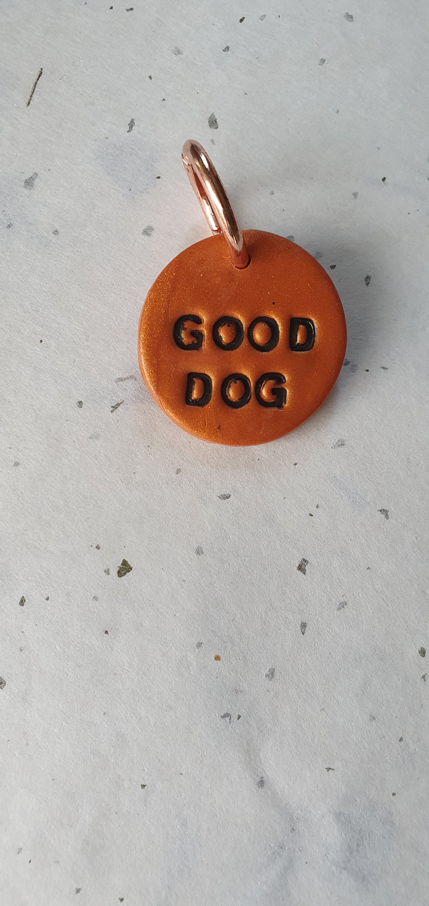 Médaille orange pour chien texte noir