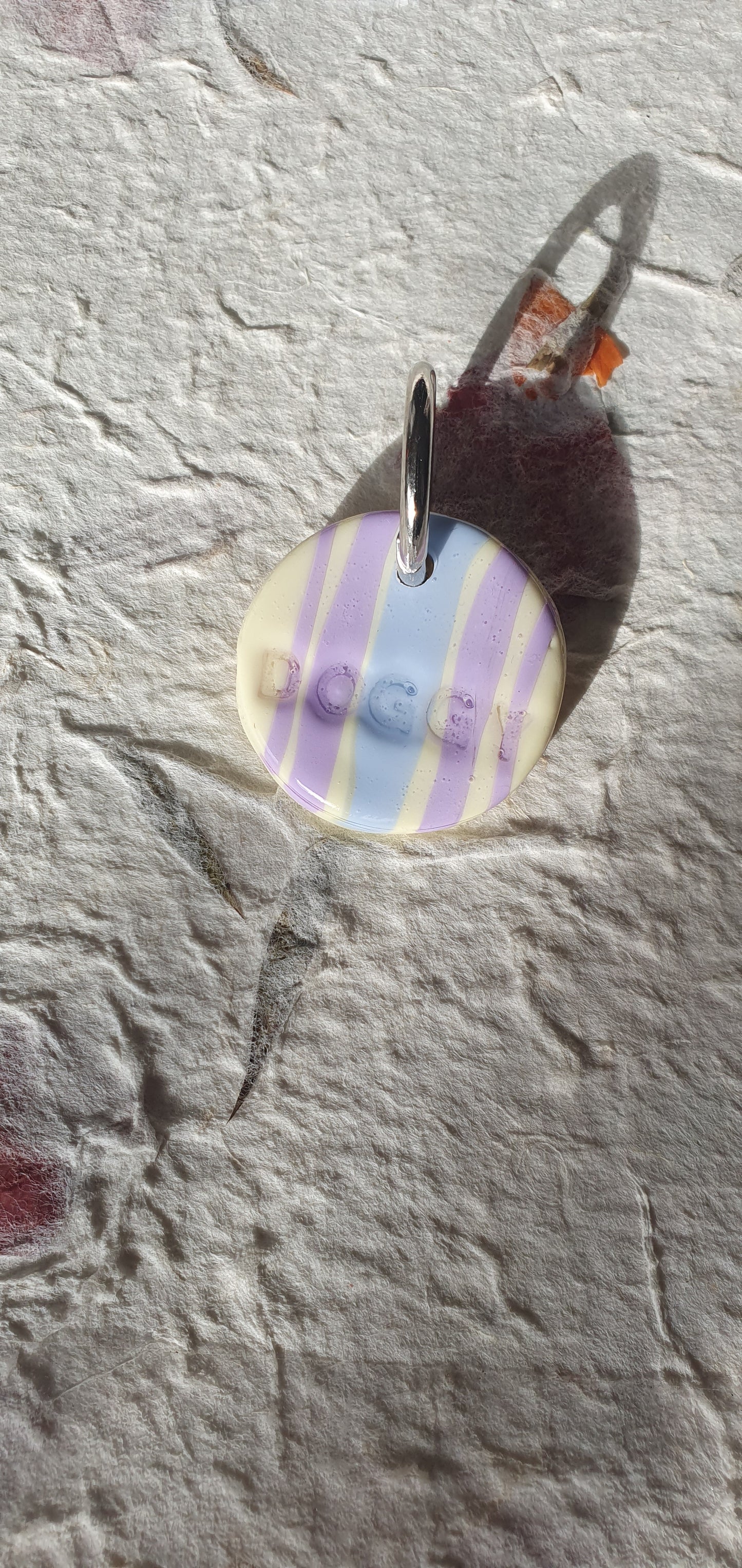 Médaille rayures pour chien Biarritz 10