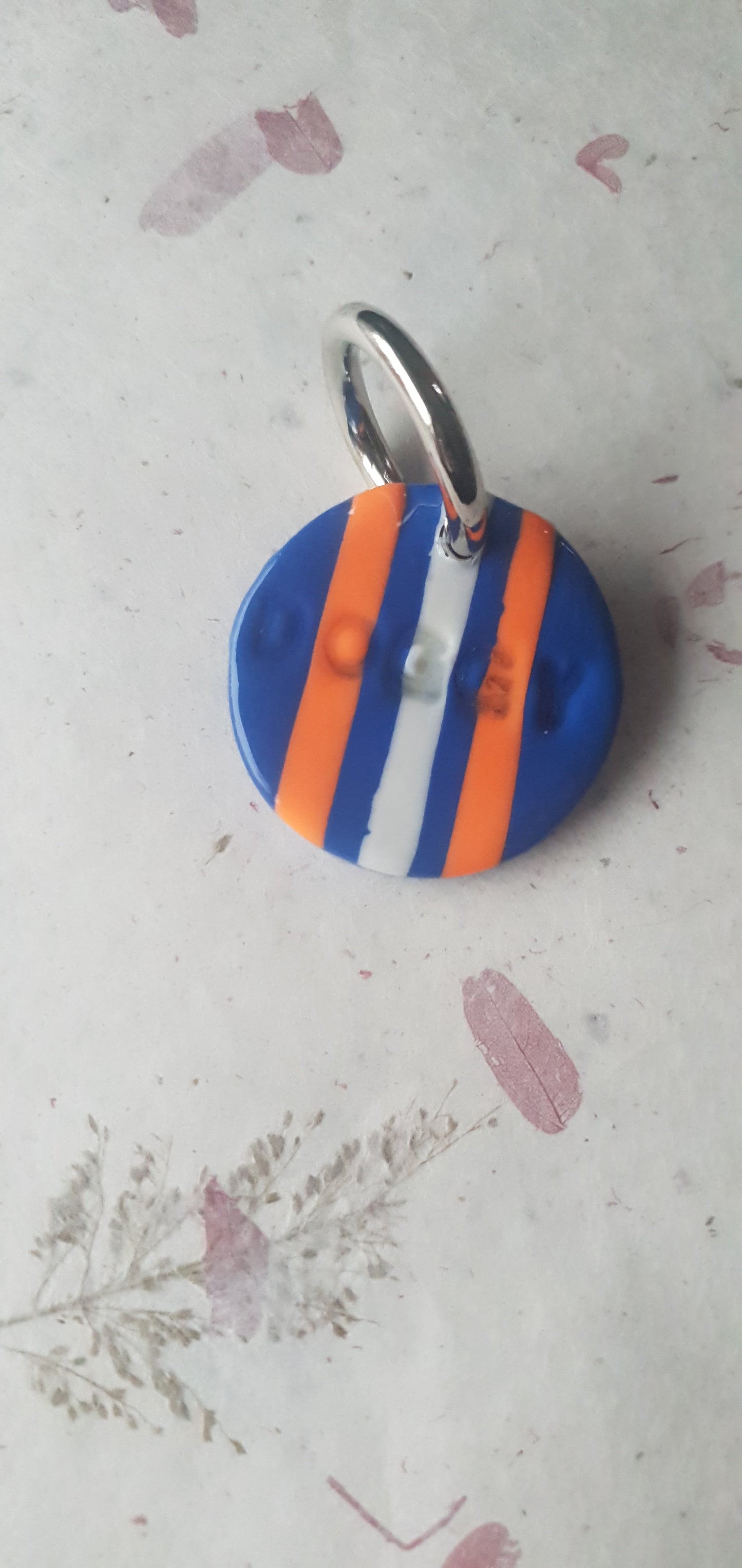 Médaille rayures pour chien Biarritz 4