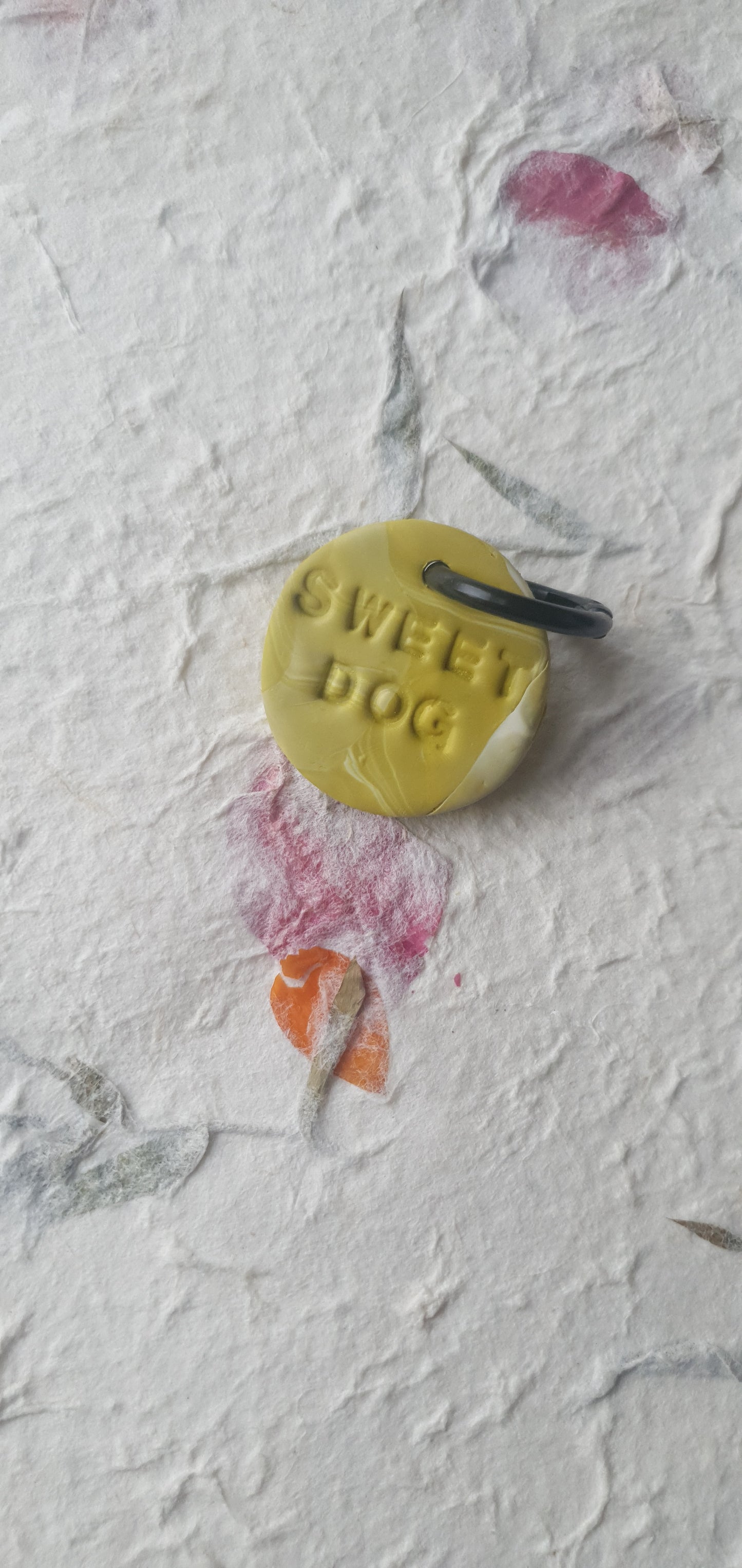 Médaille  kaki 4 pour chien