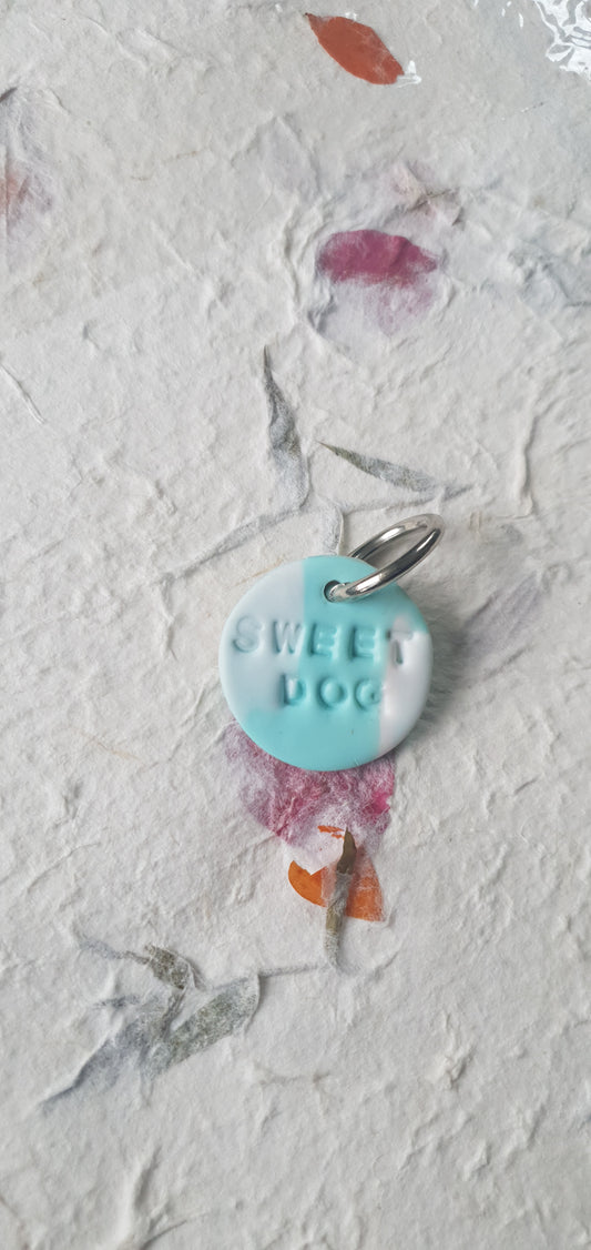 Médaille turquoise pour chien