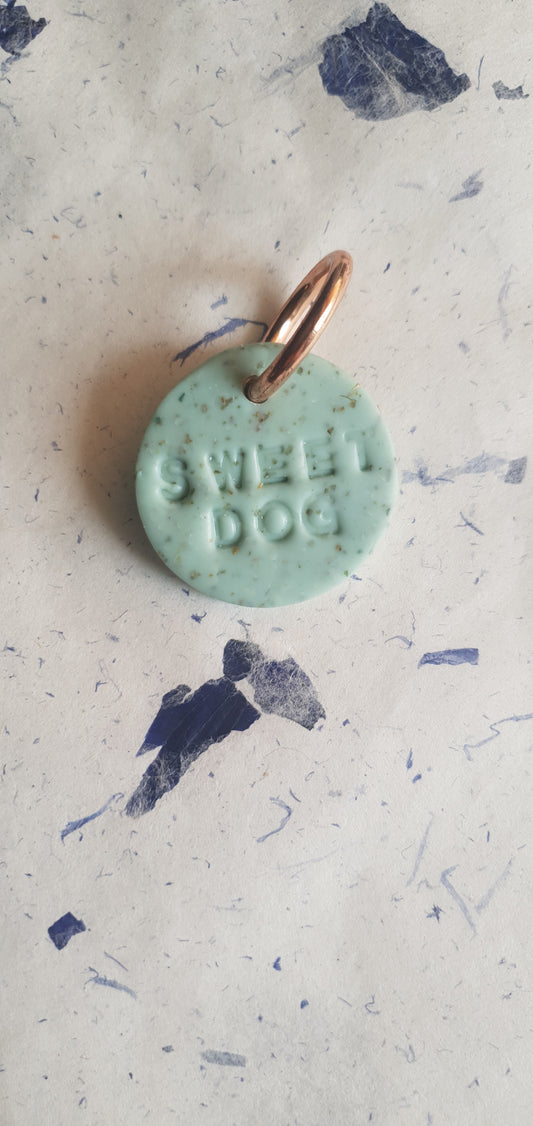 Médaille terra verte  pour chien
