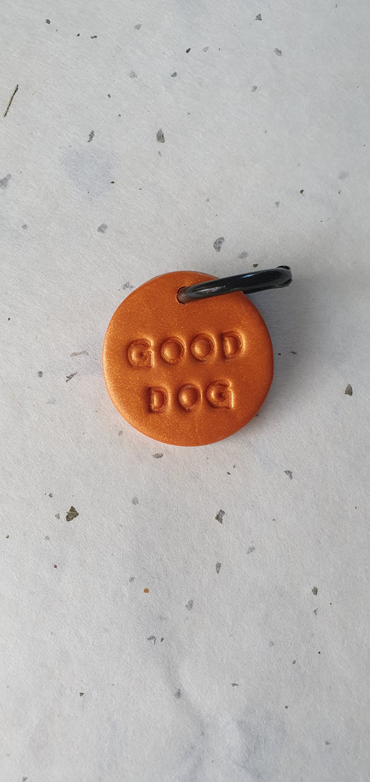 Médaille orange pour chien