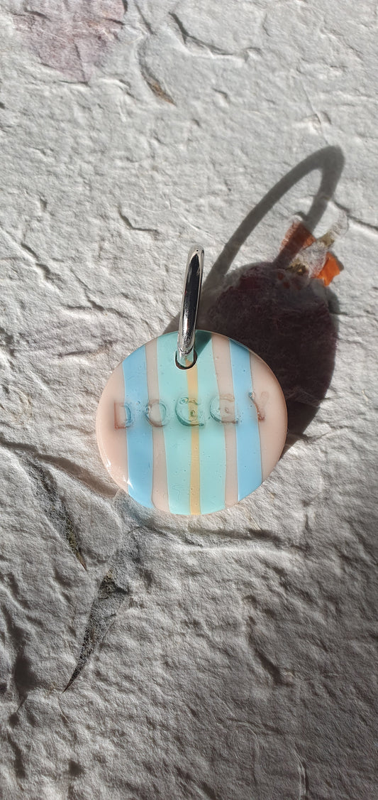 Médaille rayures pour chien  Biarritz 11