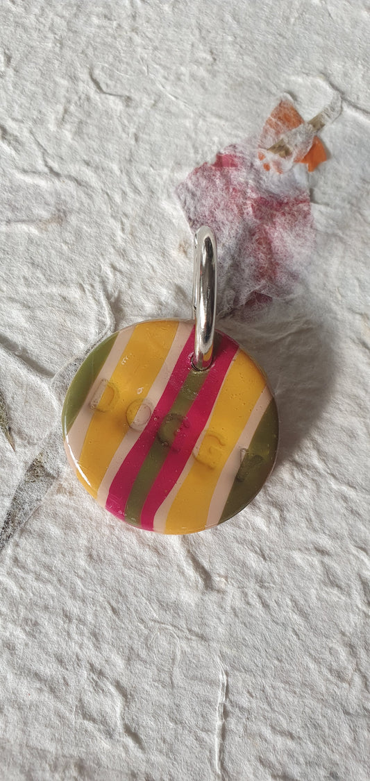 Médaille rayures pour chien  Biarritz 9