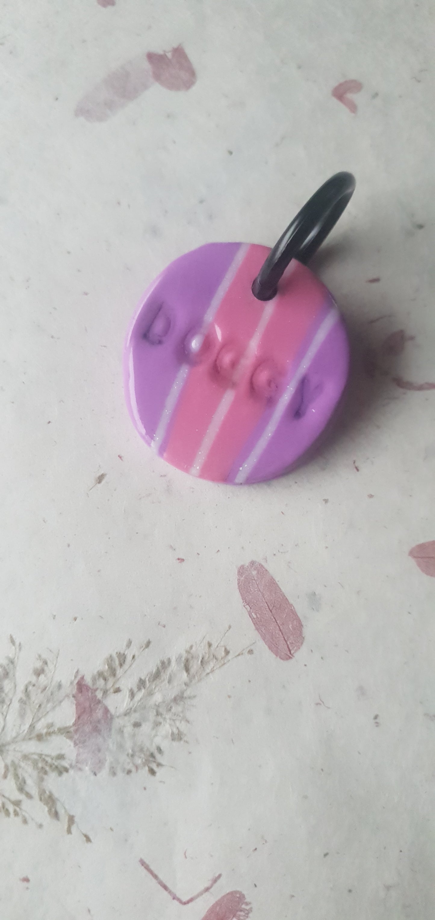 Médaille rayures pour chien  Biarritz 8