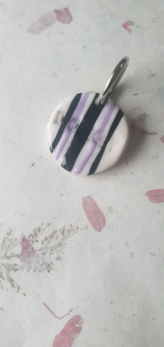 Médaille rayures pour chien  Biarritz 7