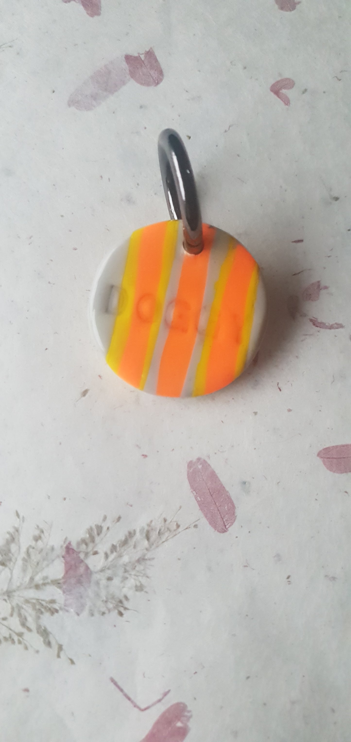 Médaille rayures pour chien  Biarritz 6