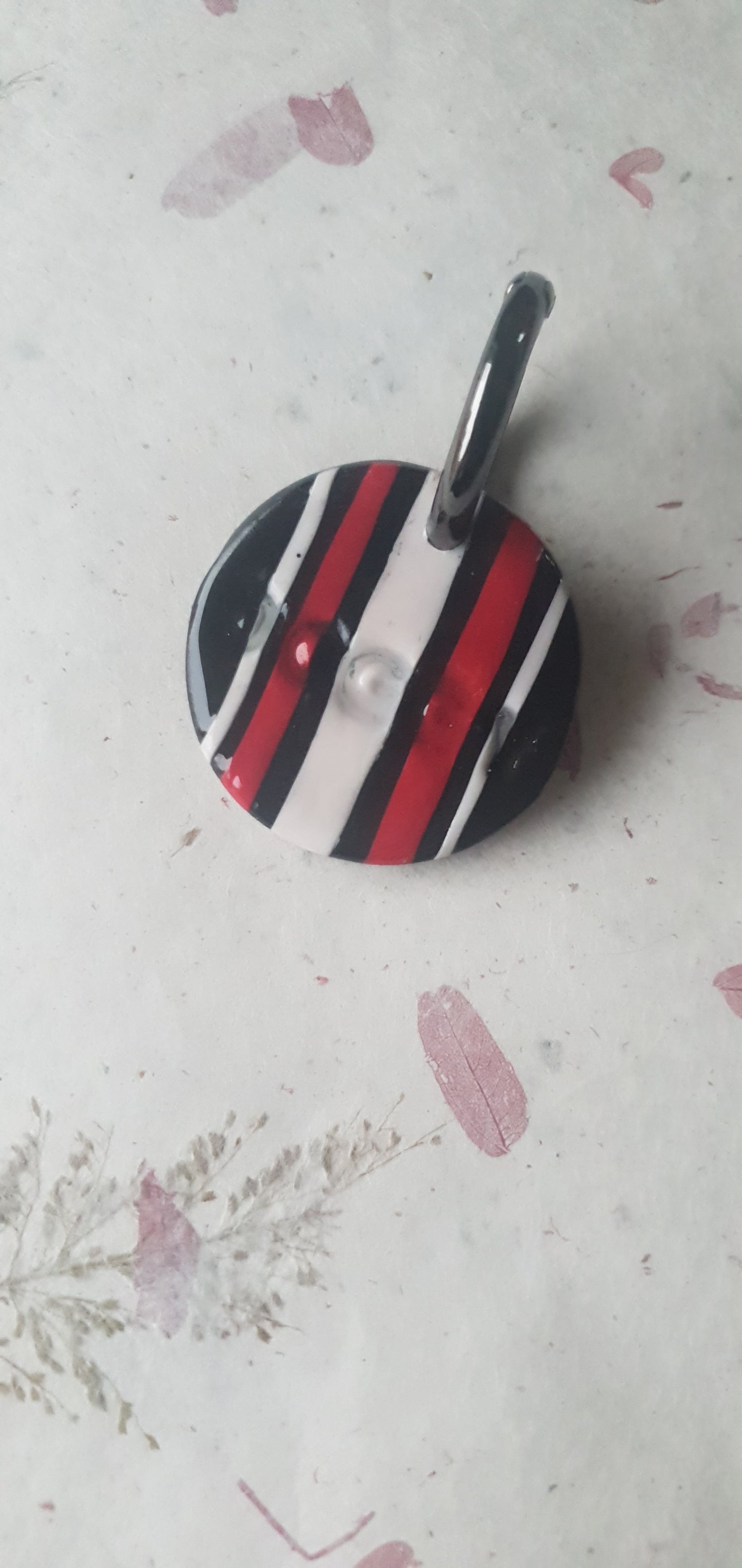 Médaille rayures pour chien  Biarritz 5