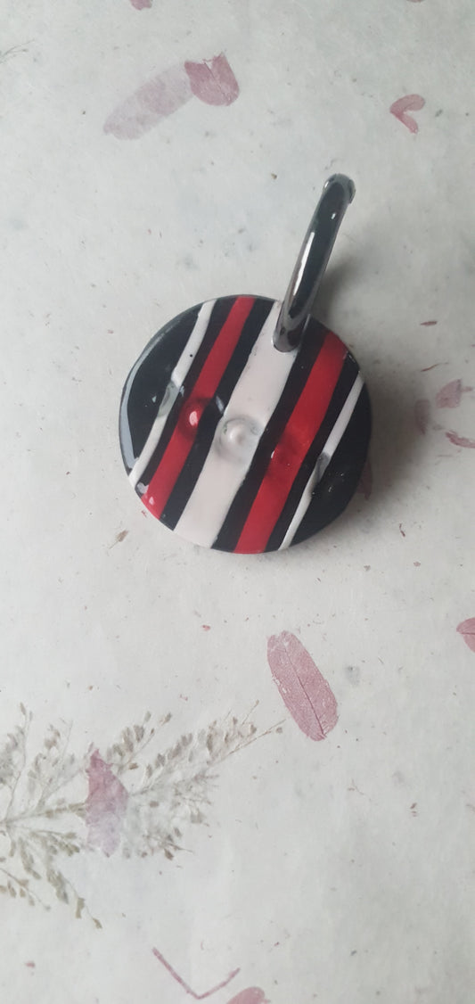 Médaille rayures pour chien  Biarritz 5