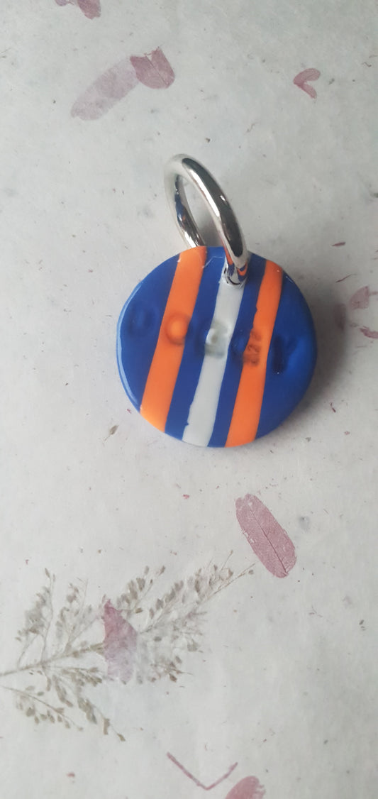 Médaille rayures pour chien  Biarritz 4