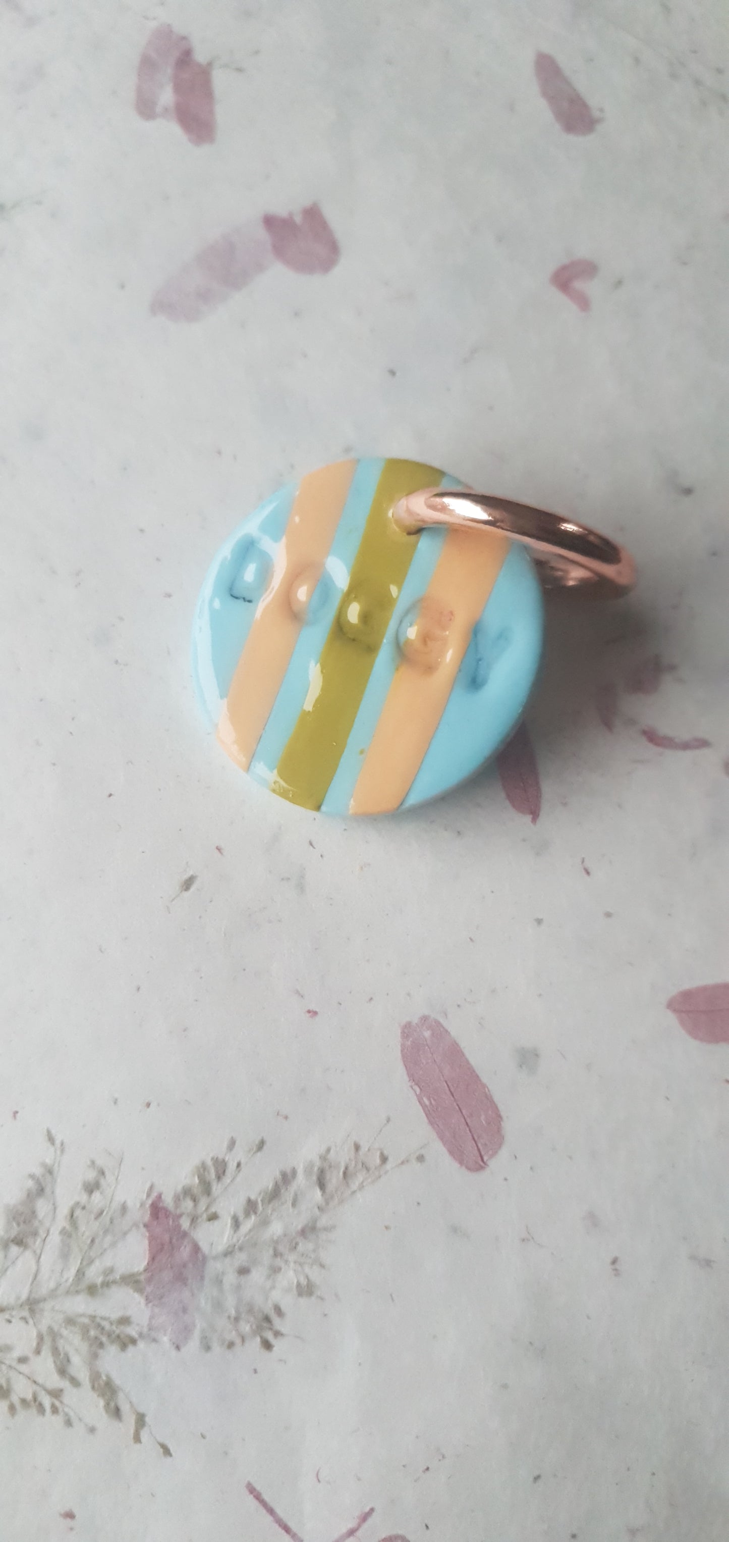 Médaille rayures pour chien  Biarritz 3