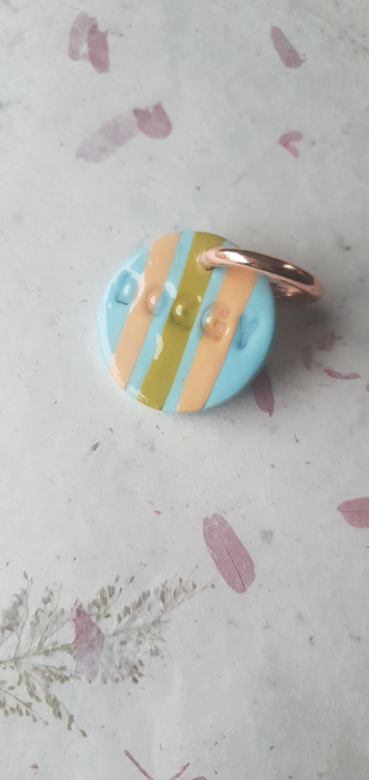 Médaille rayures pour chien  Biarritz 3