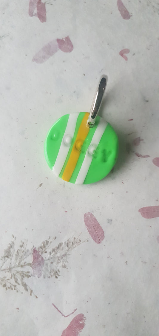 Médaille rayures pour chien  Biarritz 2