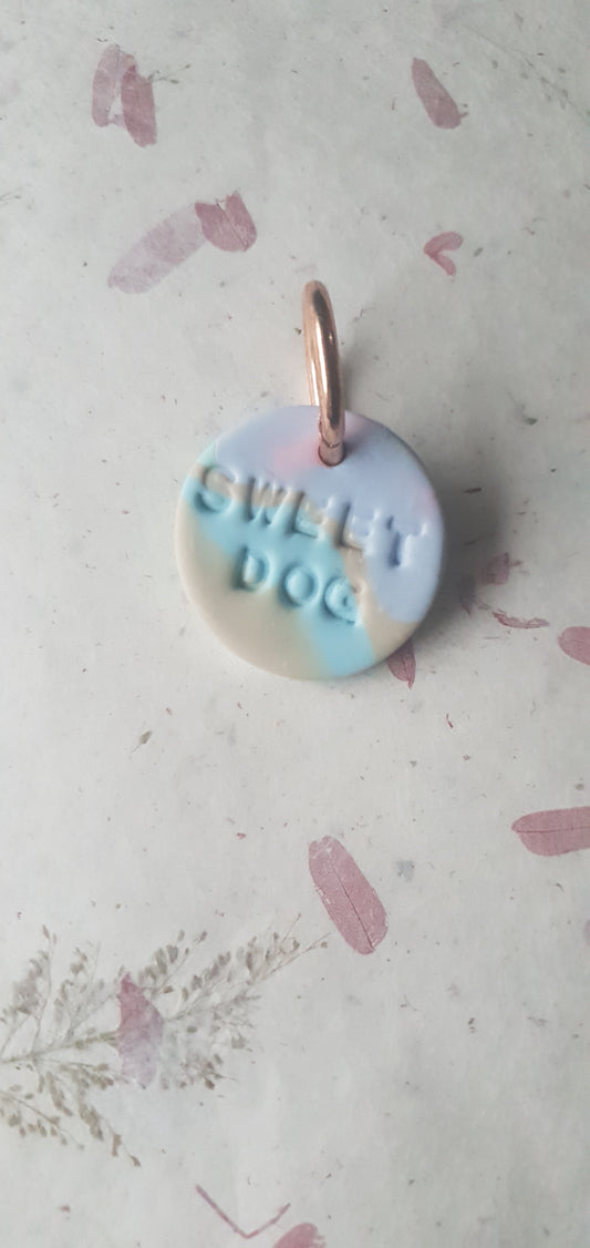 Médaille rayures pour chien  Biarritz 1