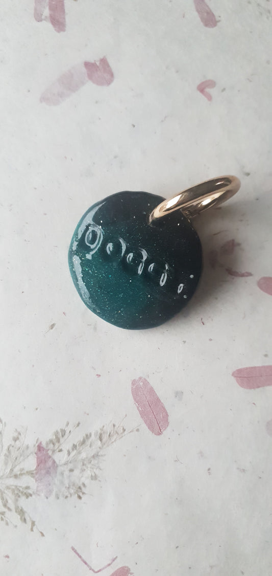 Médaille bleue et noire pour chien